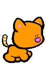 kočka.gif